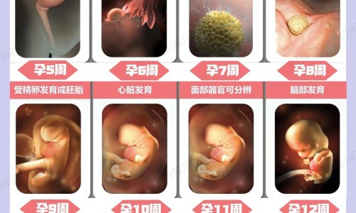 克菲尔磷酸哌嗪宝塔糖效果怎么样-克菲尔磷酸哌嗪宝塔糖怎么吃,中国克菲尔磷酸哌嗪副作用网站